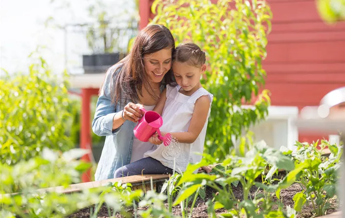 Urban Gardening mit Balkonpflanzen