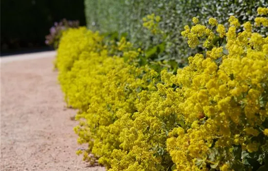 Blackbox-Gardening – die kreative Idee mit den grossen Überraschungseffekten