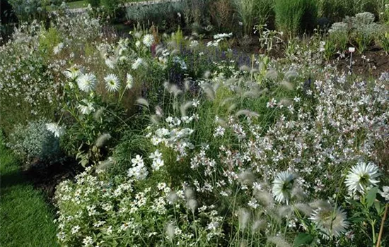 Ganz in Weiss – elegante Gartengestaltung mit Stil