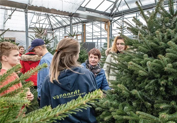 Christbaummarkt mit Bäumen aus der Region