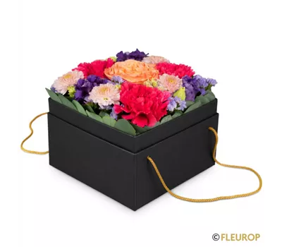 Blumenbox Amsterdam (15cm)