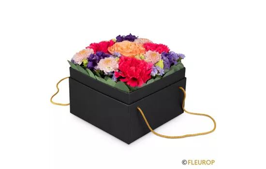 Blumenbox Amsterdam (15cm)