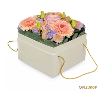 Blumenbox Barcelona (15cm)