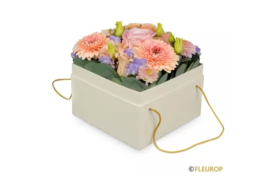 Blumenbox Barcelona (15cm)