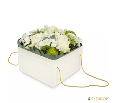 Blumenbox Dublin (15cm)