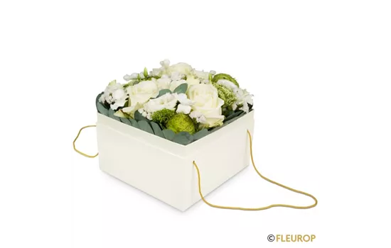 Blumenbox Dublin (15cm)