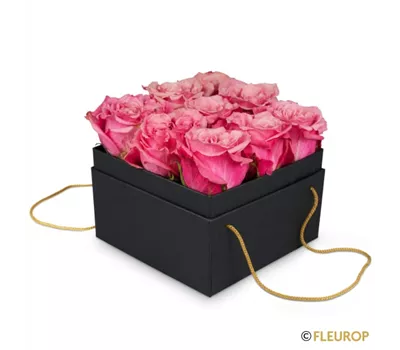 Blumenbox Lisbon (15cm)